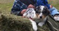 /album/chi-siamo/nostri-cani-02-jpg/